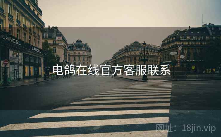 电鸽在线官方客服联系