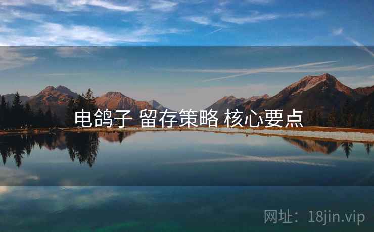 电鸽子 留存策略 核心要点