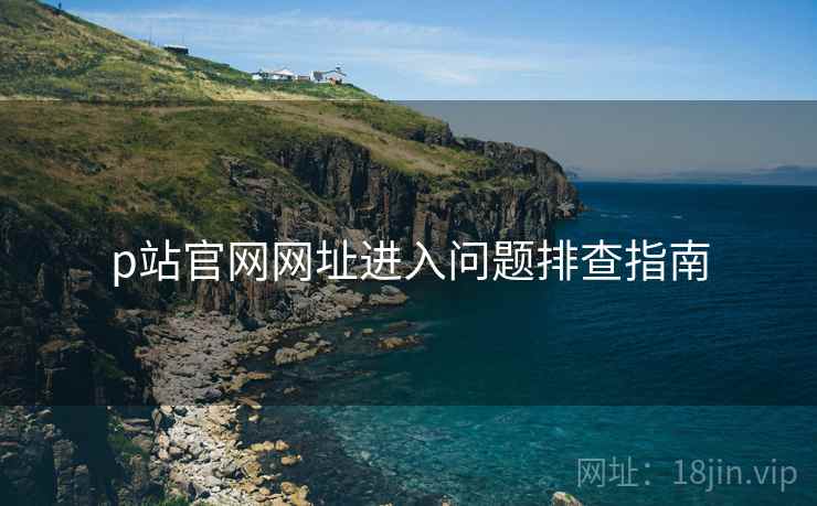 p站官网网址进入问题排查指南