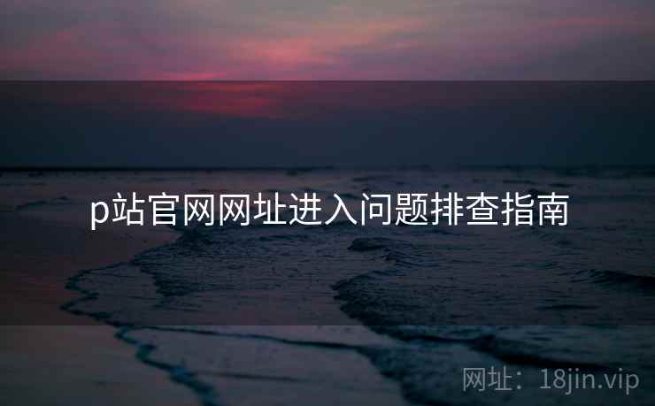 p站官网网址进入问题排查指南