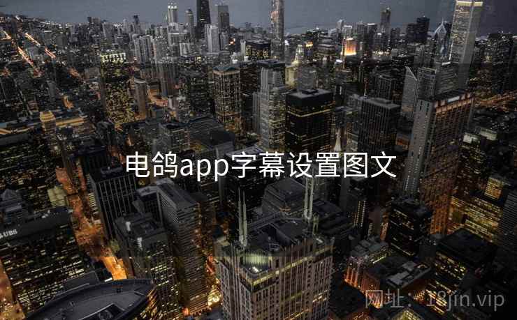 电鸽app字幕设置图文