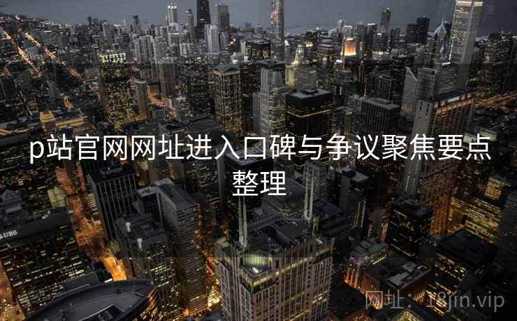 p站官网网址进入口碑与争议聚焦要点整理