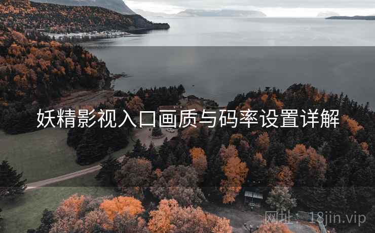 妖精影视入口画质与码率设置详解