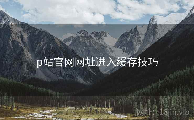 p站官网网址进入缓存技巧