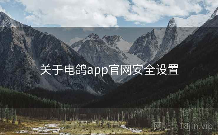 关于电鸽app官网安全设置