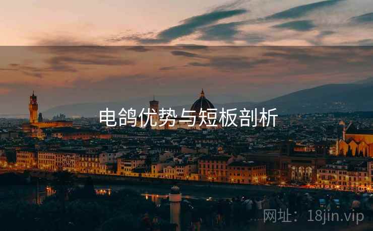 电鸽优势与短板剖析