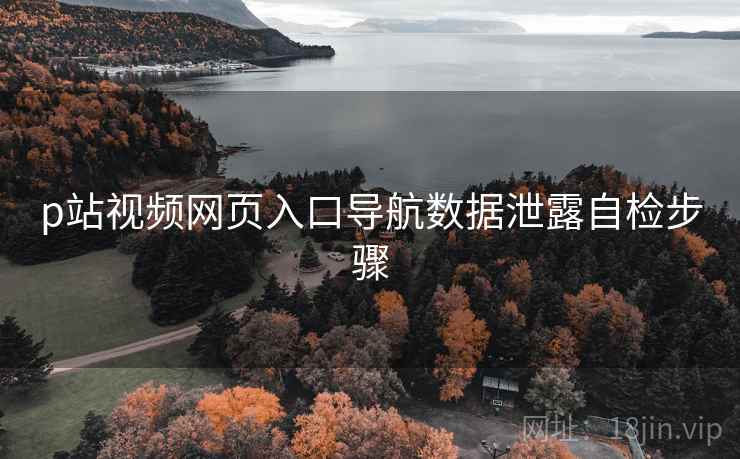 p站视频网页入口导航数据泄露自检步骤