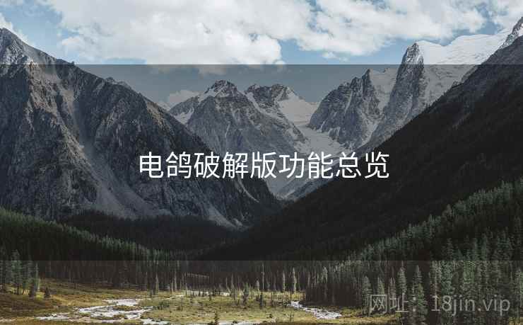 电鸽破解版功能总览