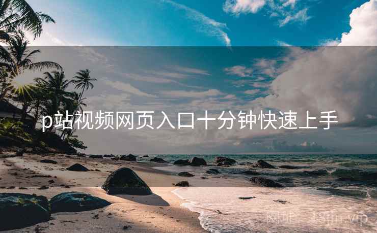 p站视频网页入口十分钟快速上手