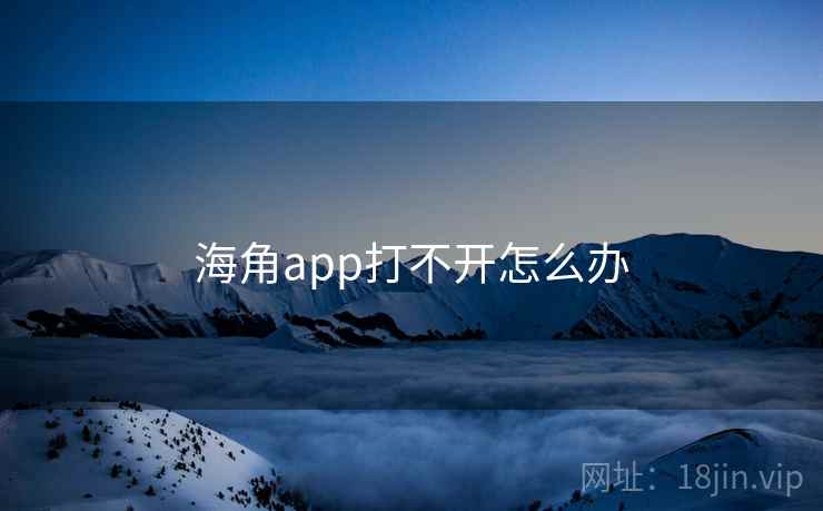 海角app打不开怎么办