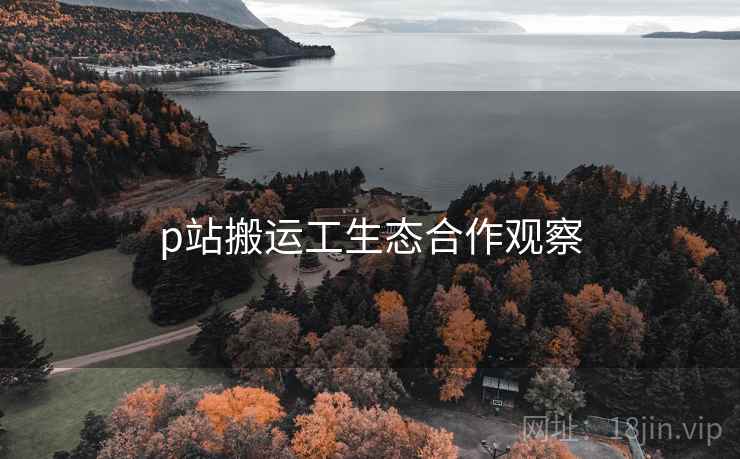 p站搬运工生态合作观察