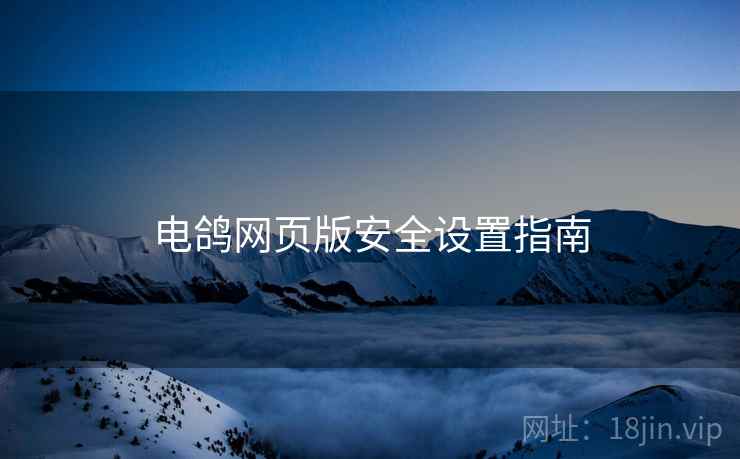 电鸽网页版安全设置指南